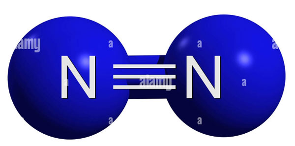 Características do gás nitrogênio Characteristics of Nitrogen Gas